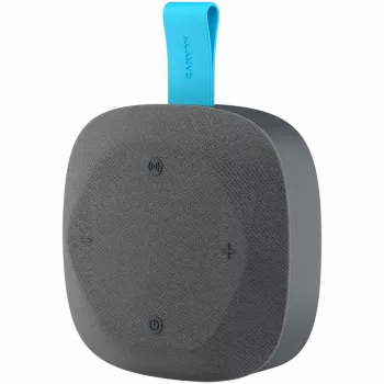 Canyon Hexagon 10 - Bluetooth 5.3 speaker - USB-C - Card Reader - IPX5 - blue-grey