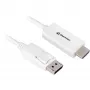DisplayPort 1.2 adapter cable Sharkoon 4K, 1 m length