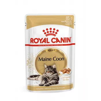 ROYAL CANIN FBN Maine Coon - Cat wet food - sachet 12x 85g