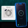 Smart WiFi Wall Plug Tellur TLL331531 — 3600W 16A, Wi‑Fi remote control