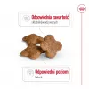 Dry dog food Royal Canin Mini Adult 8+ 2 kg — small breeds 5–10 kg, poultry, weight-control formula