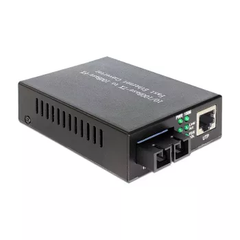 Network Media Converter DeLOCK 86216