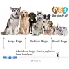 LED Collar KABB Blue for Dogs and Cats — rechargeable, adjustable light-up safety collar
