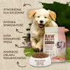 Dry dog food VETEXPERT Raw Paleo Healthy Grain Puppy Salmon and Barley 10 kg, protein 29% fat 17% moisture 9%