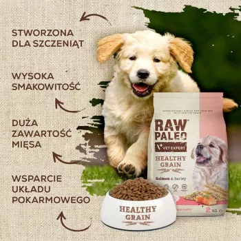 Dry dog food VETEXPERT Raw Paleo Healthy Grain Puppy Salmon and Barley 10 kg, protein 29% fat 17% moisture 9%