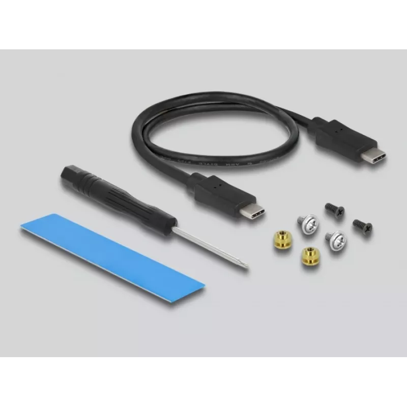 SSD enclosure DeLOCK External USB Type-C Combo Enclosure for M.2 NVMe PCIe or SATA SSD