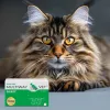 Soft gel twist-off capsules JM Sante Multiway Vet coat and skin for dogs and cats 60 pcs, 150 g