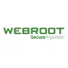 Webroot | DNS Protection with GSM Console | 2 year(s) | License quantity 10-99 user(s)