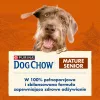 Dry dog food Purina Nestlé Dog Chow Mature Senior with lamb 14 kg, 24% protein, 10% fat