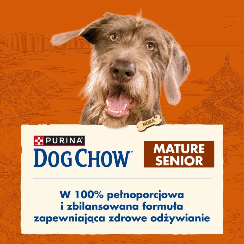 Dry dog food Purina Nestlé Dog Chow Mature Senior with lamb 14 kg, 24% protein, 10% fat