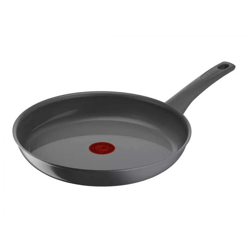 Frying pan Tefal C4260643, 28 cm diameter, induction-compatible, fixed handle, grey