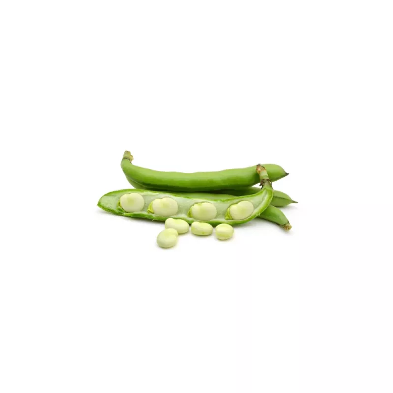 Seed packet Apte PNOS — Broad bean (fava) Jankiel Bialy, 50 g