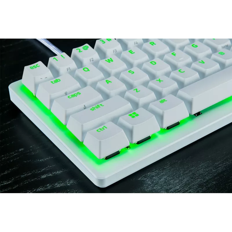 Razer RZ03-04990100-R3M1 keyboard Gaming USB QWERTY UK International White