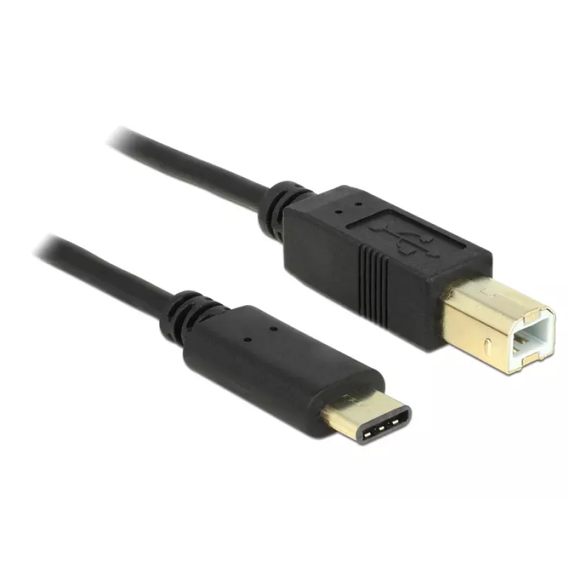 USB Cable DeLOCK 2m USB2.0-C/USB2.0-B