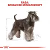 Dry Dog Food Royal Canin Miniature Schnauzer Adult, Poultry, 3 kg, for Small Breeds