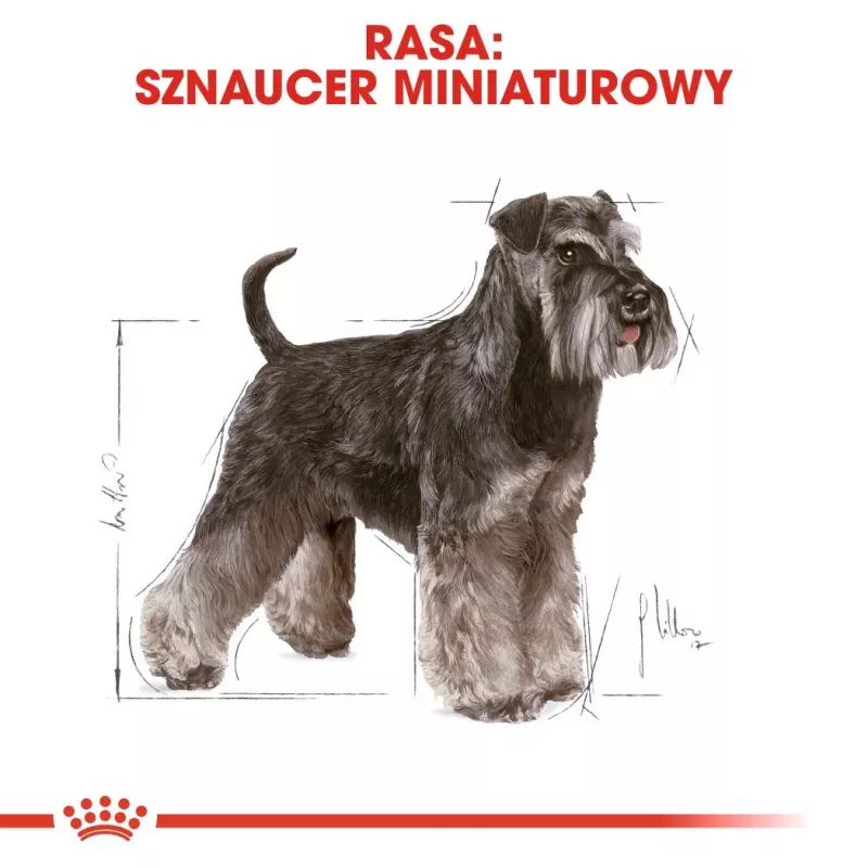 Dry Dog Food Royal Canin Miniature Schnauzer Adult, Poultry, 3 kg, for Small Breeds