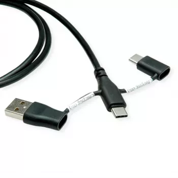 ROLINE USB 2.0 cable type C ST/ST with data blocking adapters A and C - Cable - Digital/Data