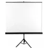 Avtek Tripod Standart 175 projection screen 1:1