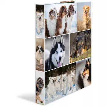 Ring binder HERMA 19358 A4 Multicolour