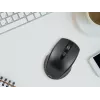 Wireless Optical Mouse TRACER TRAMYS46729, RF 10 m, 1600 DPI, 6 buttons, right-hand, nano receiver, battery-powered