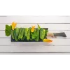 Polan F1 Toraf Cucumber Vegetable Seeds, 5g Pack