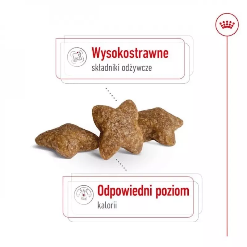 Dry dog food Royal Canin Adult Mini S 8 kg — complete nutrition for small adult dogs
