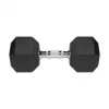 Rubberized cast iron dumbbell HEX 20 kg REBEL ACTIVE