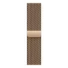 Band Apple MGHW4ZM/A Smart Wearable Accessories Gold Stainless Steel 40mm