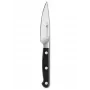 Zwilling Pro Fruit and Vegetable Knife - 10 cm