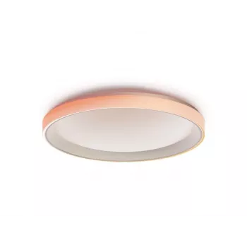 AQARA smart ceiling lamp T1M (CL-L02D)