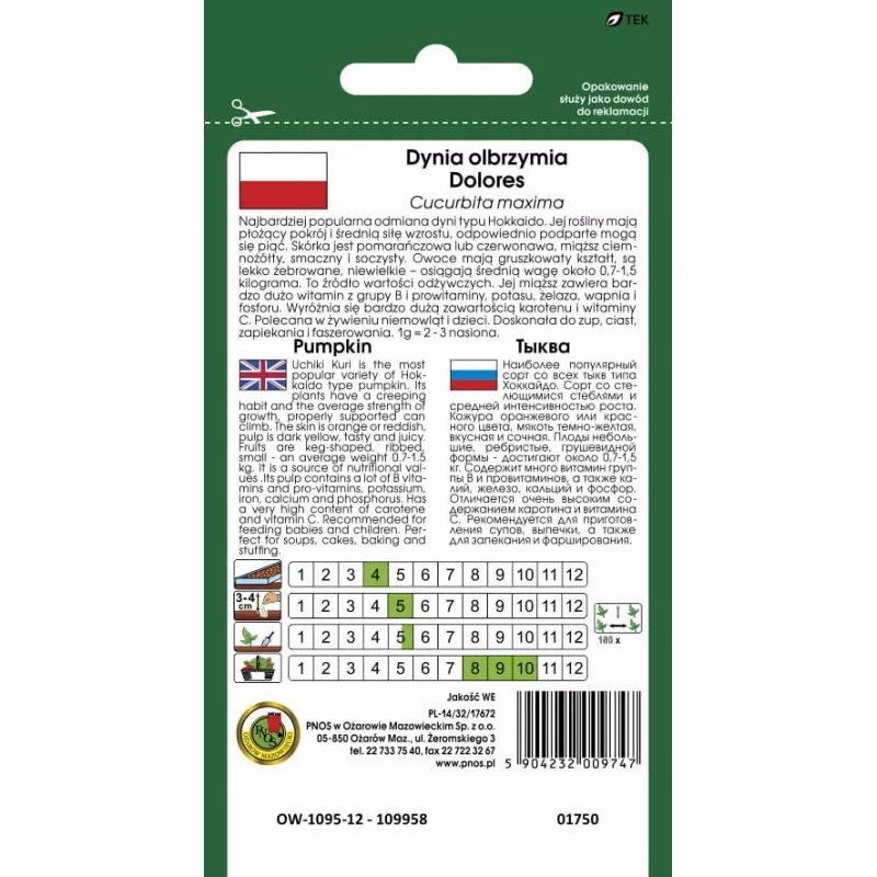 Seeds — Apte Dynia Olbrzymia Dolores (giant pumpkin) seeds, packet 5 g