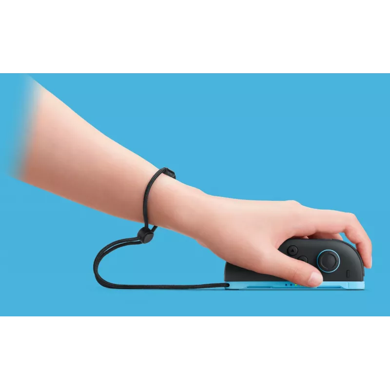 Nintendo Switch 2, Nintendo Switch 2, Black, Analog / Digital, D-Pad, Home button, Menu Taste, Power-Taste, Buttons, LCD
