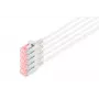 Network Cable Digitus CAT 6 U/FTP Slim patch cord RJ-45 Cat6 10m Grey