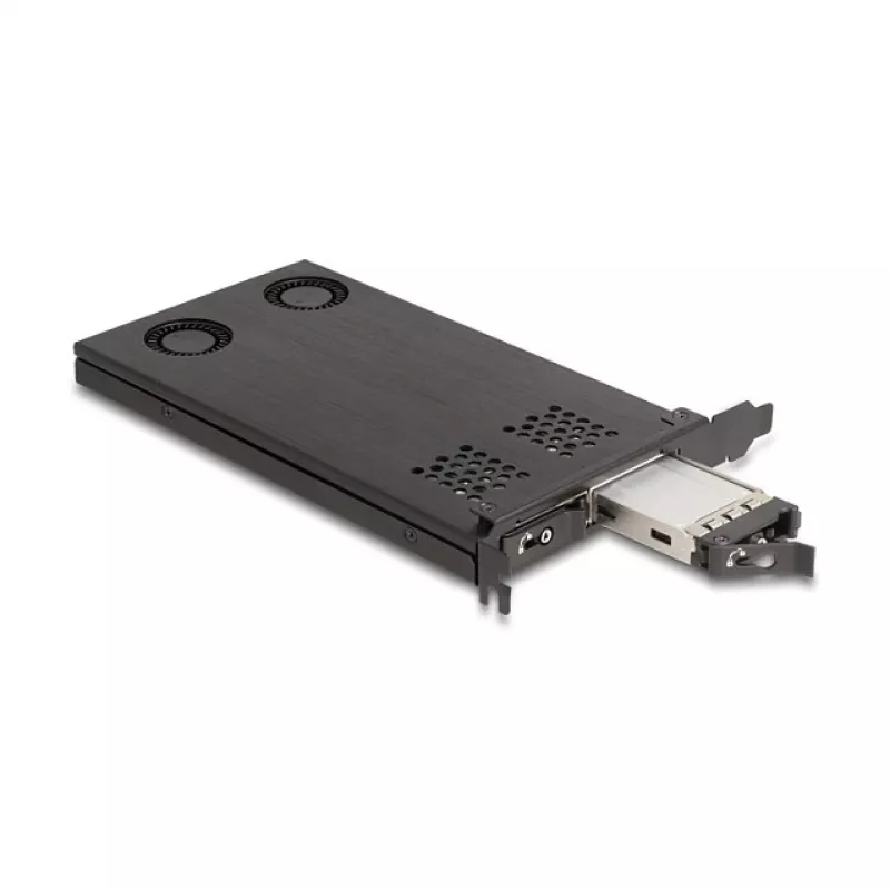 Delock PCI Express x16 Card Frame for 2 x M.2 NVMe SSD Bifurcation 47042