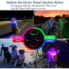 LED Collar KABB Blue for Dogs and Cats — rechargeable, adjustable light-up safety collar