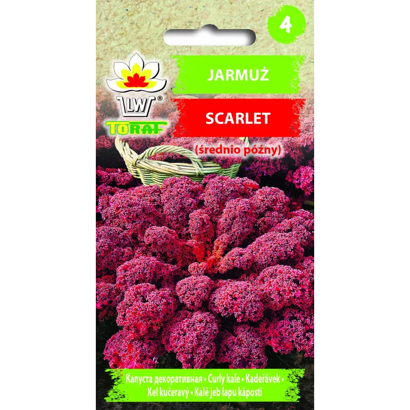 Scarlet Toraf Kale Seeds, 1g Pack
