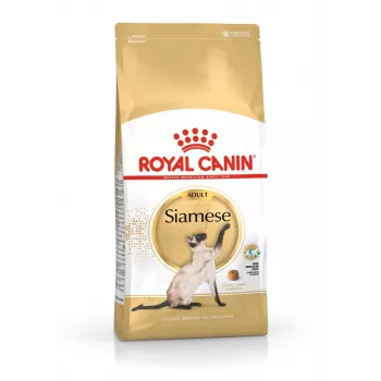 Dry cat food Royal Canin Siamese 2 kg — Adult, Poultry, Protein 38%, Fat 16%