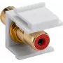 Goobay 79669 - Flat - Red - White - RCA - RCA - Female - Female (79669)