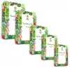 Toraf seed set - 2024