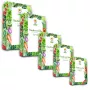 Toraf seed set - 2024