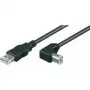 Wentronic Goobay USB 2.0 Hi-Speed Cable, Black, 5 m - USB 2.0-Plug (Type A) > USB 2.0-Plug (Type B) (95118)
