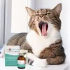 Oral cavity spray JM Sante Vet Protector 30 ml for dogs and cats, liquid, preservative‑free, sugar‑free