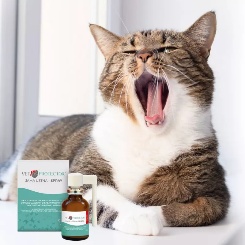 Oral cavity spray JM Sante Vet Protector 30 ml for dogs and cats, liquid, preservative‑free, sugar‑free