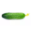 Polan F1 Toraf Cucumber Vegetable Seeds, 5g Pack
