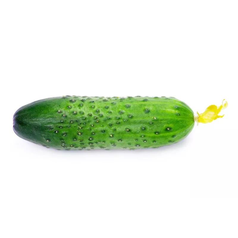 Polan F1 Toraf Cucumber Vegetable Seeds, 5g Pack