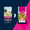 Eukanuba Senior L XL Rich in lamb & rice dry dog food 12 kg