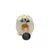 Microphone MANTA MIC10-G Gold cardioid portable — cardioid condenser, handheld design