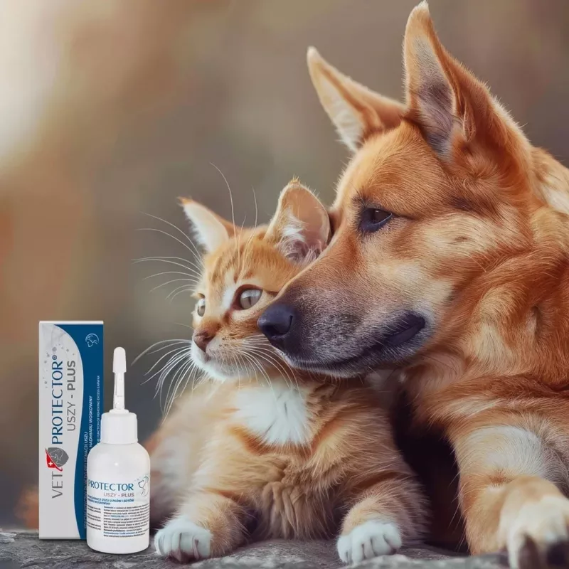 Ear solution JM Sante Vet Protector Uszy Plus 50 ml — ear care for adult dogs and cats, plastic bottle