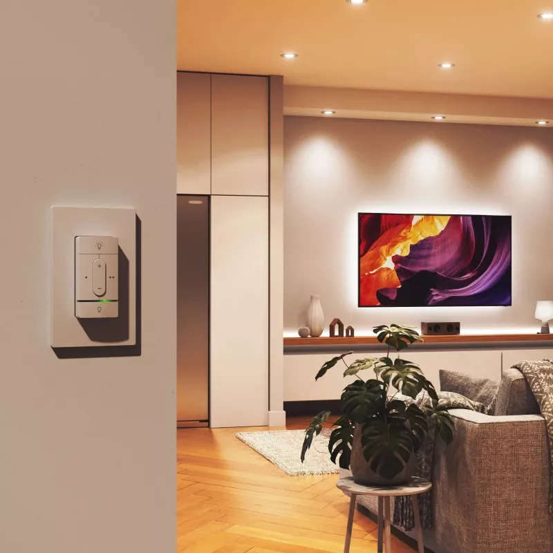 Smart wireless switch Nanoleaf N4400C02-1BUT — battery powered, customizable control for smart lights and devices