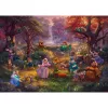 Thomas Kinkade Studios: Disney - Robin Hood, Puzzle 1000 Pieces
